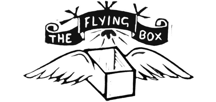 Flying box logo